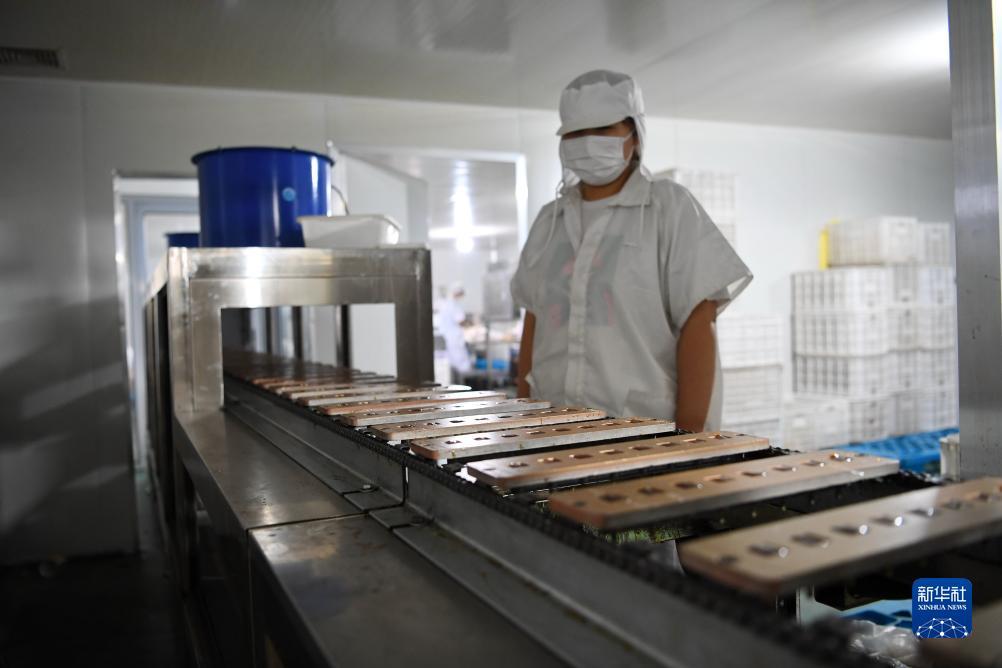 百老汇影城下载